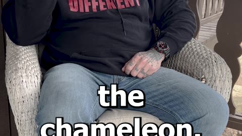 Chameleon