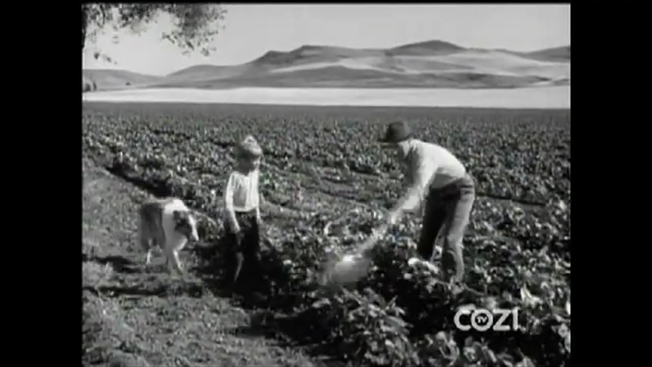 Lassie - Episode 192 - 'The Whopper'