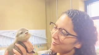 Otter Core