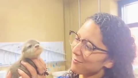Otter Core