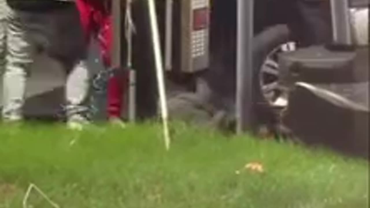 A group of men intervened to stop a man from assaulting a woman