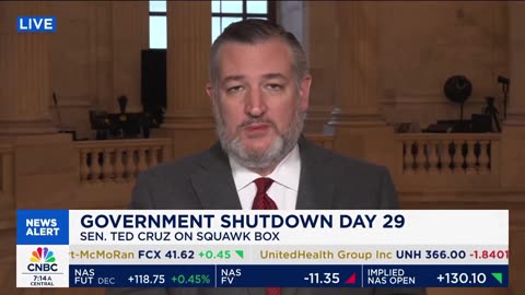 Ted Cruz explains the 'stupidest' Schumer Shutdown in less than two minutes