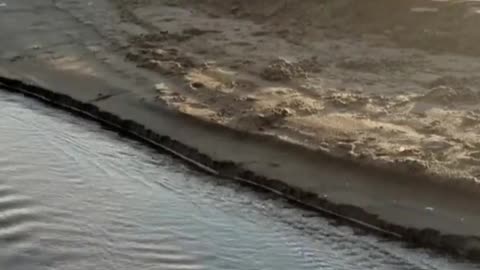 Aptos Creek