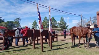 Marcación de la 44° edición del Raid "Natalicio de Artigas" - Villa Isidoro Noblía 07/06/2025