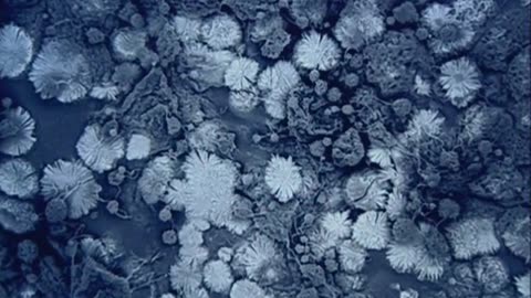 secret life of caves