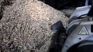Biochar helps farmers bury carbon, build climate resilience