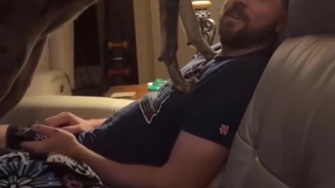 We gonna play or what 😂