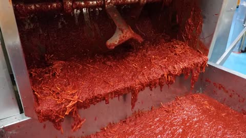 Large amount kimchi making in korea
