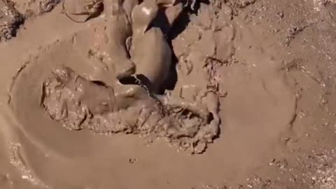 Omg.. 😂