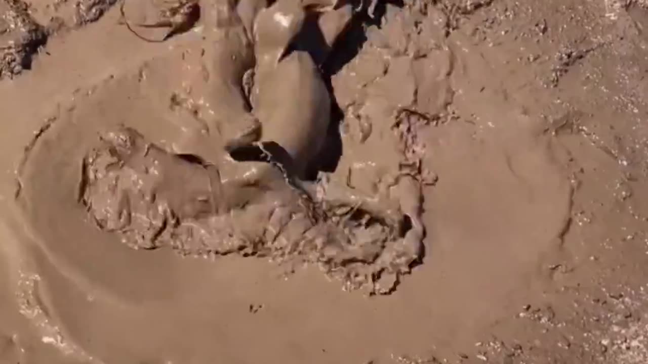 Omg.. 😂