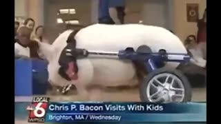 😂💥 Chris P. Bacon's Epic Fail! | FunFM