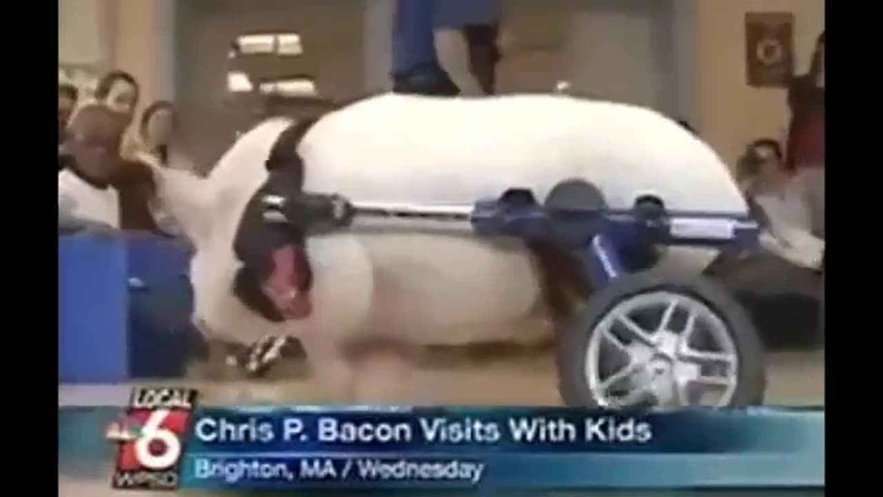 😂💥 Chris P. Bacon's Epic Fail! | FunFM