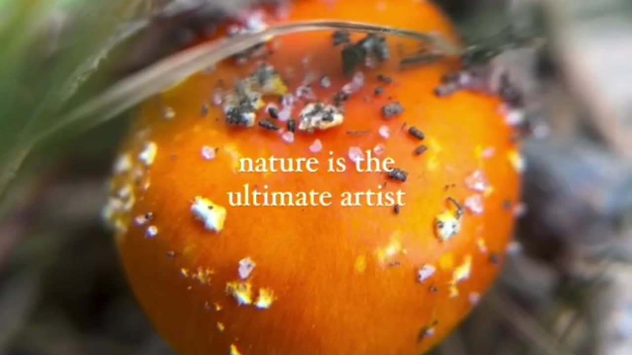Nature Is The Ultimate Artist