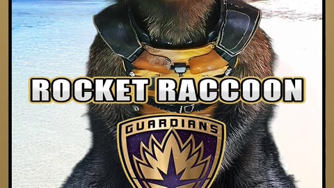 Die Geschichte von Rocket Raccoon