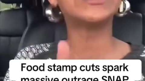 SNAP Recipients Threaten Looting Over Democrat Shutdown: 'It's Taxpayer's Job to Pay for My Kids'