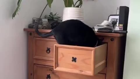 😂