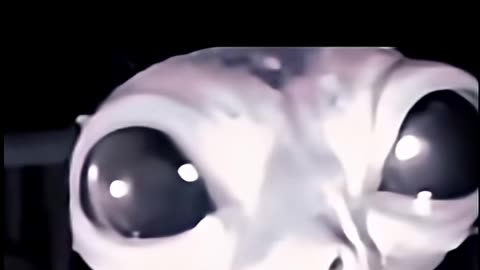 ALIEN CAUGHT ON RING DOORBELL
