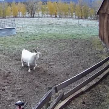 NOT AI! I'm checking my videos now