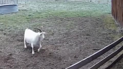 NOT AI! I'm checking my videos now