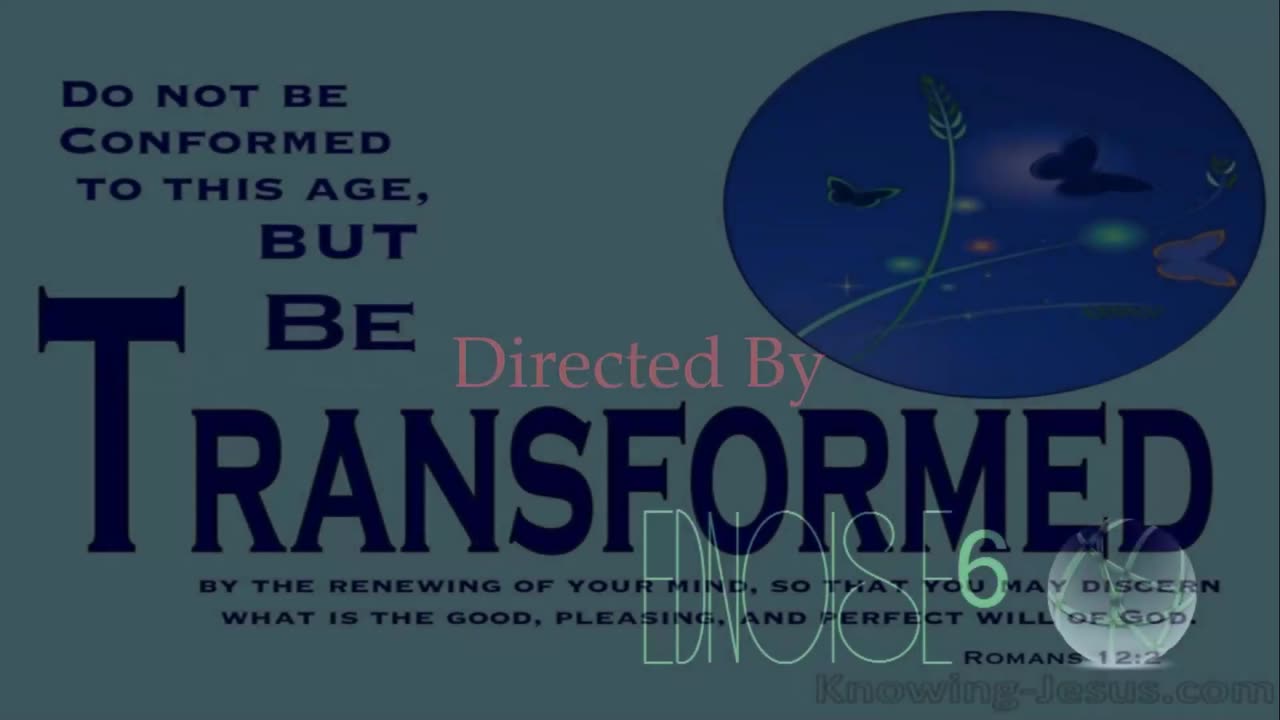 Rare of Breed ~ Not the Same { Live + Lyrics } Remix 1 { Dance Ver. } Christcore Slowed PC