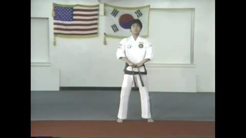 Taekwondo