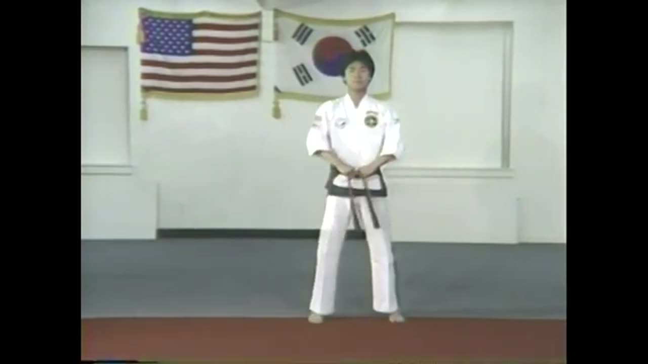 Taekwondo