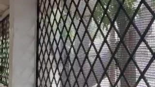 Lluvias causan afectaciones en el Inem