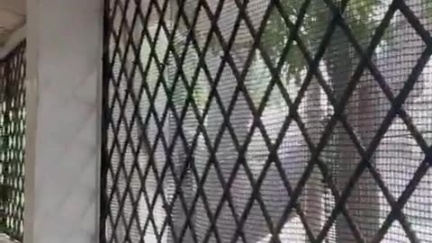 Lluvias causan afectaciones en el Inem