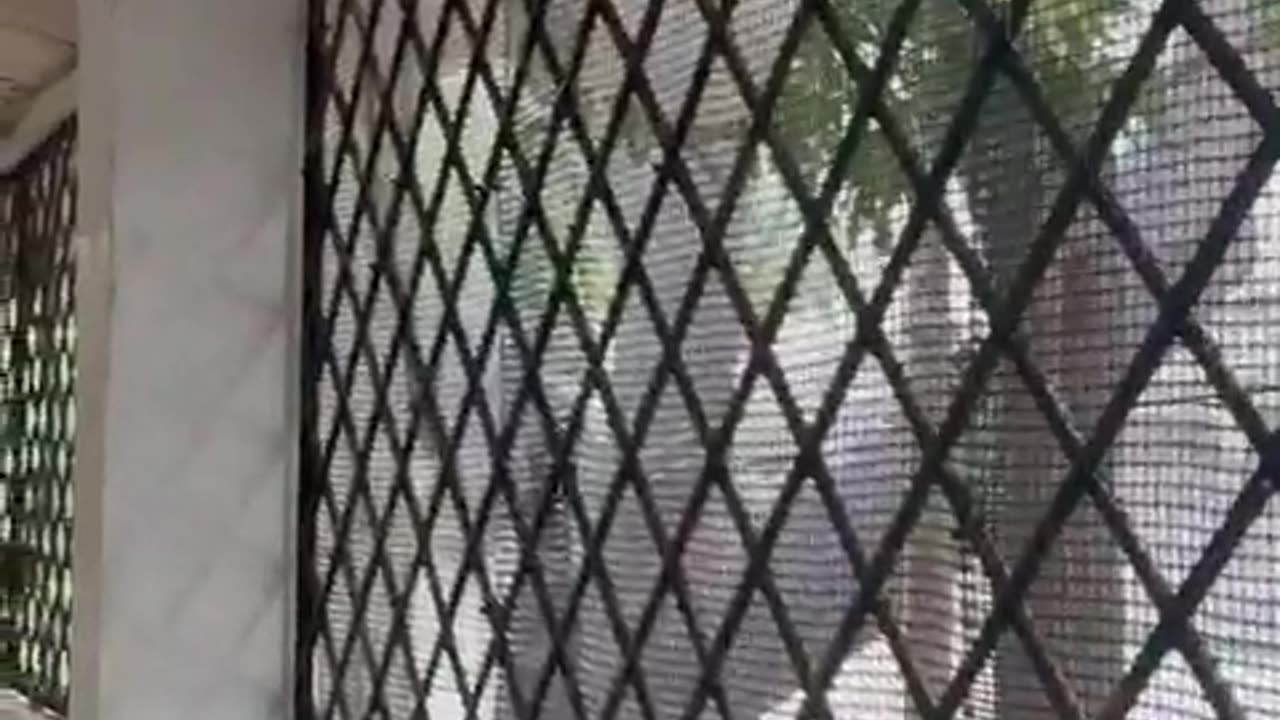 Lluvias causan afectaciones en el Inem