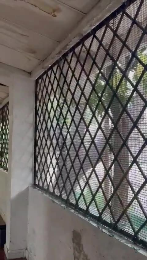 Lluvias causan afectaciones en el Inem