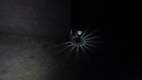 Tripping light sensor on outdoor light is quite fun, and funny!
