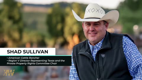 U.S Cattle at 64 Year Low – Hormone Rules Fuel the Rising Price of Beef