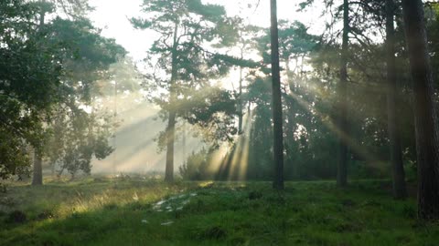 How to Build Unshakable Faith | Bible Teaching from Hebrews 11:1