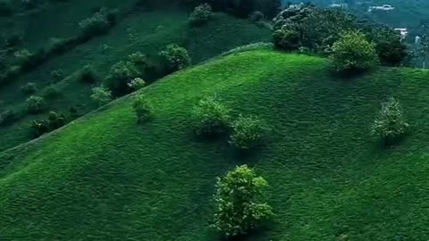 Kateshal, nature and tea gardens