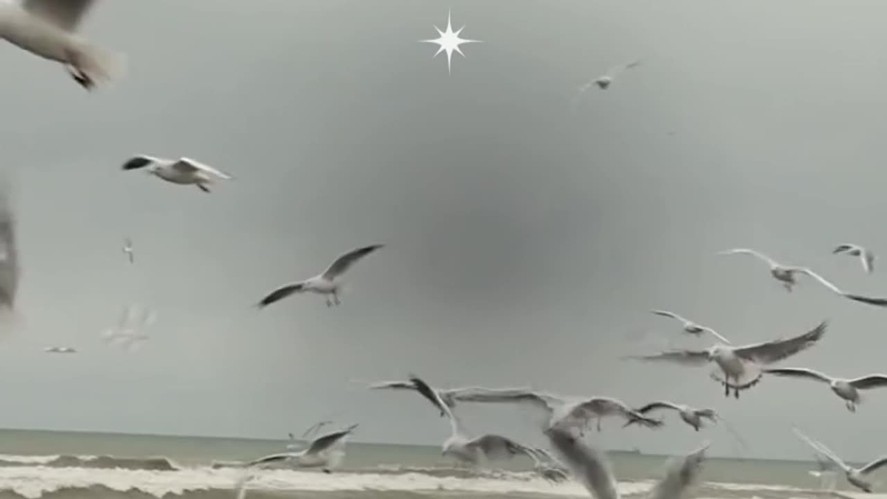 Grinding Noises When Braking?