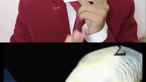SPOOKY