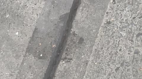 Fire Under NYC Sidewalk