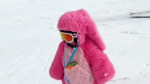 Cute pink bunny 😍🐰