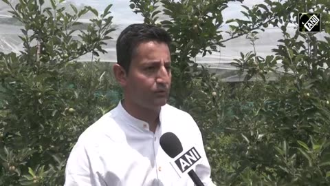 “Not India’s friend…” Shimla Farmers backs ban on Turkish apples after Ankara supports Pakistan