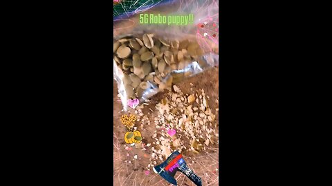 Vaccined 5G Robo puppy victim!