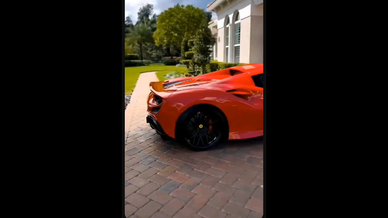 billionaire's life routine