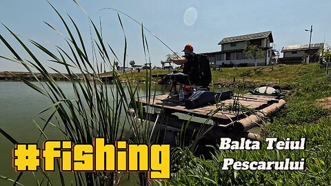 🌞 Perfect Day on the Lake – Just a Rod & Lots of Fish! 🐟🎣