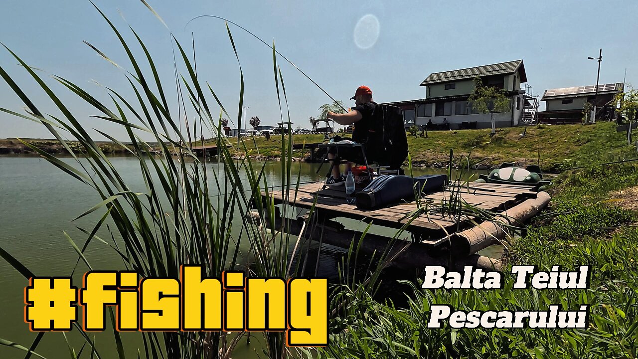 🌞 Perfect Day on the Lake – Just a Rod & Lots of Fish! 🐟🎣