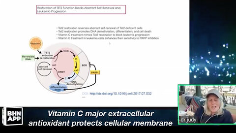 Vitamin C major extracellular antioxidant protects cellular membrane