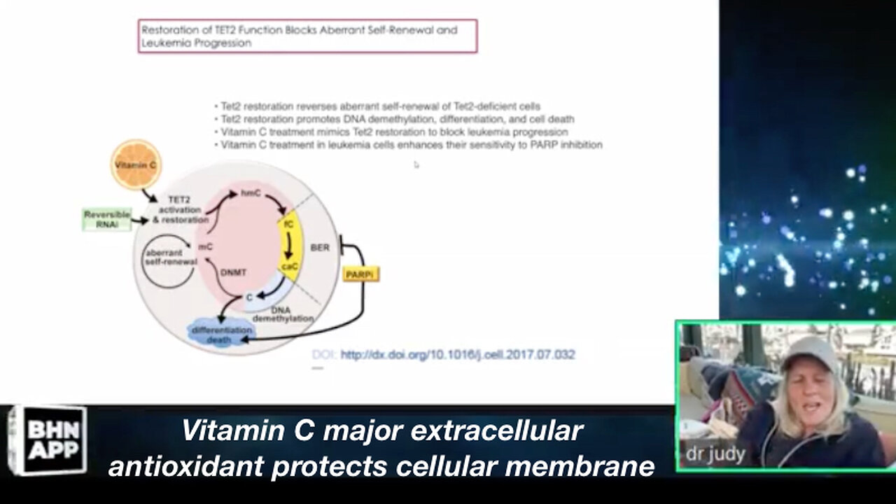 Vitamin C major extracellular antioxidant protects cellular membrane