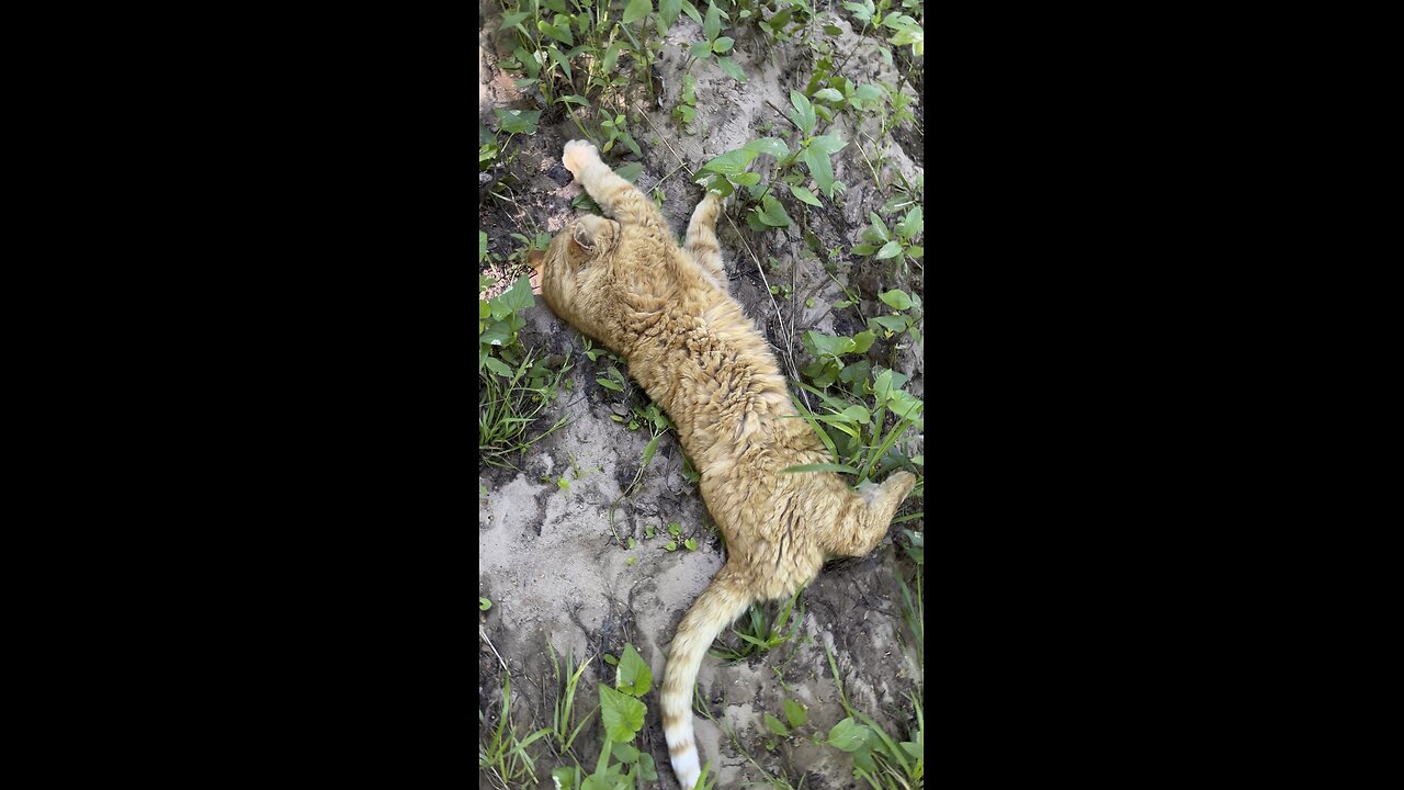 Enjoying life.