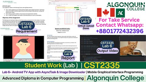 Student Work (Lab) |CST2335 Lab 6 Android TV App with AsyncTask & Image Downloader|Algonquin College