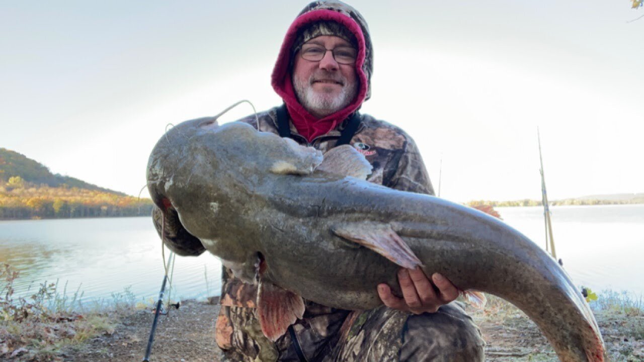 Fall catfishing with cut bait