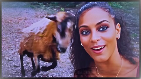 Instant Karma: People Messing With Animals Get Shocked Immediately! 🐾⚡