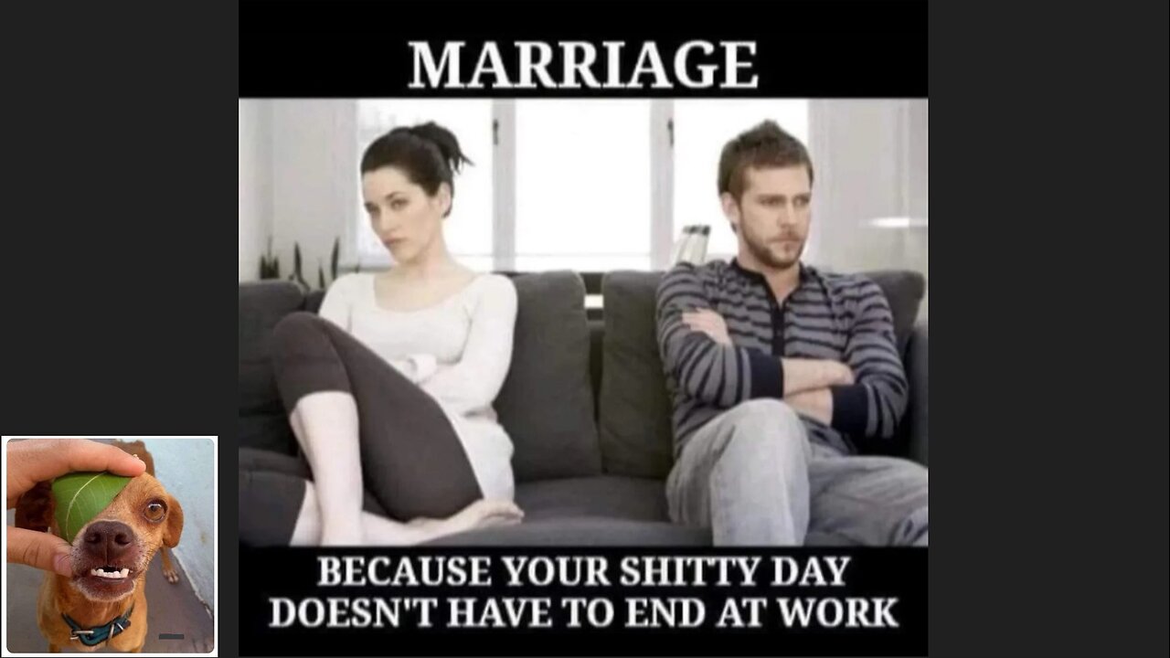 Memes That Will 99.0314% Make You Laugh. (e538)